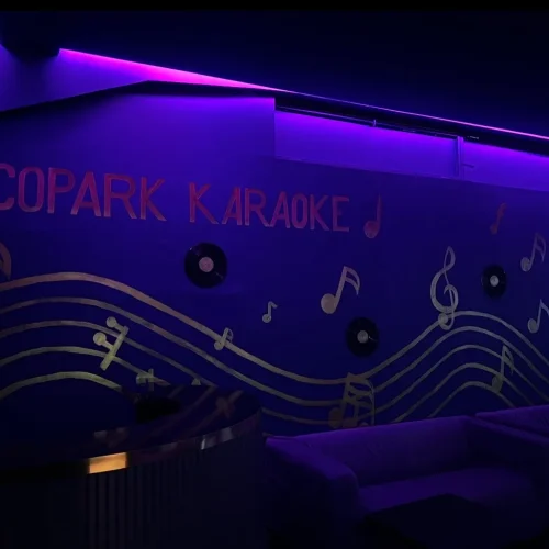 Karaoke