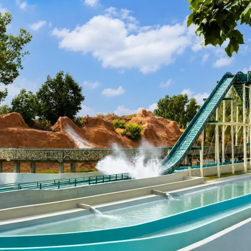 Log Flume