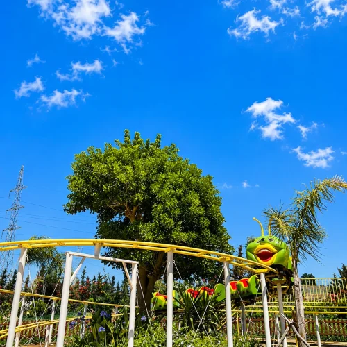 Mini Roller Coaster