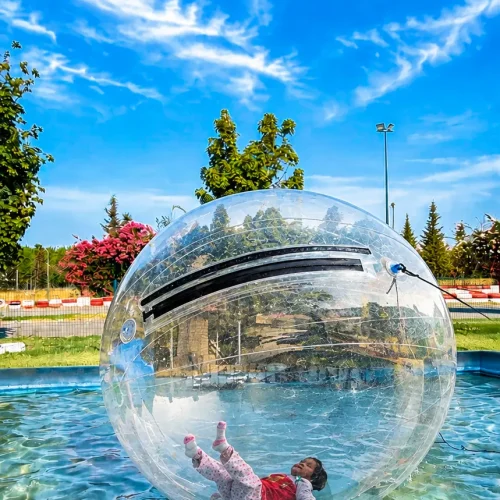 Mini aqua world