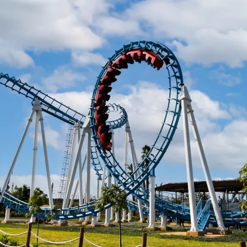 Roller Coaster